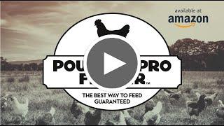 Poultry Pro Feeder - Available NOW!