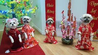 Bốn bé khoe áo mới mùa xuân| Four children showing off their new spring clothes.