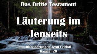 Läuterung & Aufstieg der Geistwesen im Jenseits... Jesus erklärt ️ Das Dritte Testament Kapitel 29