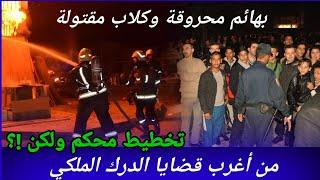 الحلقة294,تخطيط محكم ولكن!،من أغرب قضايا الدرك الملكي،تحريات،كيفاش حصل،قصص بوليسية مغربية،لغز تحري