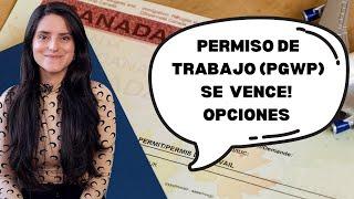 Permiso de trabajo se VENCE. ¿Que opciones tengo? CANADÁ