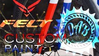 Custom paint bike -FELT B12 TRIATHLON- CUSTOM PROJECT