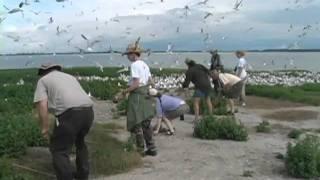 Tomkins Bird Sanctuary