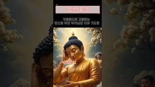 우울증으로 고통받는 당신을 위한 부처님의 치유 기도문#우울증극복 #무기력증 #정신건강 #마음치유 #심리치료 #우울 #절망 #고통 #슬픔 #외로움#부처님기도문 #불교치유 #우울증명상