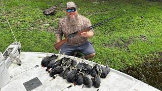 Swamp Chickens with a .410 Shotgun! Catch & Cook