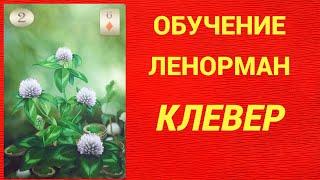 Обучение гаданию на Оракуле Ленорман. Карта Клевер.