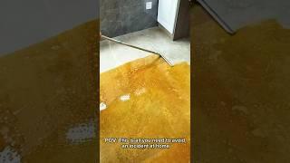 Watch dirt disappear in seconds with this ultimate cleaning tool. Your floors will thank you!