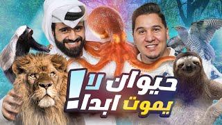 تحدي المعلومات - حيوانات غريبة 2 