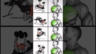 #gym #beginners #workout #fullcast #chest