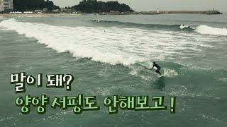 [Surfing] Does that make sense? Didn't even try Yangyang surfing!