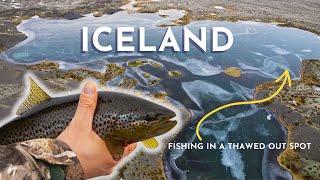 #1 Trout Fishing at an Icelandic Lake | Thawed Out Spot