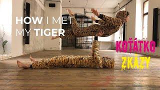 How I Met My Tiger | Koťátko zkázy