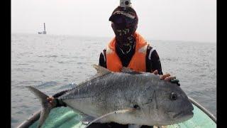 Eupro Channa Killer, Ajiking Boxster & Daiwa J-BRAID vs Monster GT Popping Labuan Malaysia