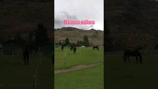 BIENES RAÍCES | DEFINICIÓN DE SERVICIO AL CLIENTE