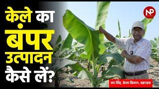 Banana farming in extreme weather | Tips by Jai Singh an award winning #bananafarmer | केला की खेती