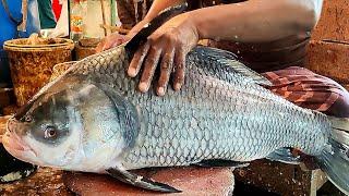BIG KATLA CARP FISH CLEANING & CUTTING - FRESH FISH CUTTING SKILLS