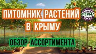 ПИТОМНИК РАСТЕНИЙ В КРЫМУ | обзор ассортимента