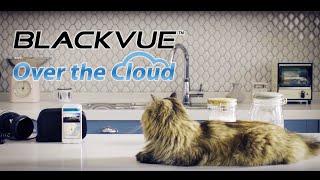 BLACKVUE DR650GW SERIES DASHCAM - BlackVue Over the Cloud Promo Video [60sec.]