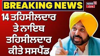 Breaking News | 14 ਤਹਿਸੀਲਦਾਰ ਤੇ ਨਾਇਬ ਤਹਿਸੀਲਦਾਰ ਕੀਤੇ ਸਸਪੈਂਡ| Mann Govt Suspended 14 Tehsildar| News18