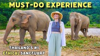 This Was INCREDIBLE! Thailand's BEST Elephant Sanctuary Experience 