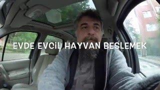 EVCİL HAYVAN BESLEMEK - İZLEMEDEN KARAR VERMEYİN