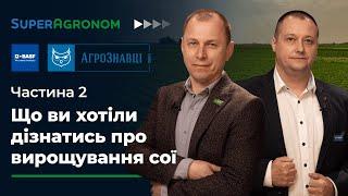 Технологія вирощування та захисту сої: склеротиніоз, вугільна гниль, шкідники / СуперАгроном