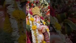 #vlogjourney#viral#1million#family#treanding#vikas#ganeshchaturthi#ganesh#vasaicharaja#youtubeshorts