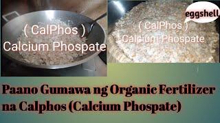 Paano Gumawa ng CalPhos,How to make Calcium Phospate pr maging Fertilizer sa Halamang Gulay,Plantito