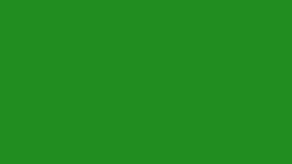 10 Hours of ForestGreen Color (#228B22)