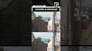 J&K on High Alert: Massive gunfire in Srinagar, following security personnel’s manhunt operation