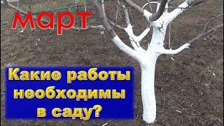 Какие работы в саду необходимы в марте?