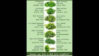 #tips #keerai #health #medical #food