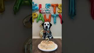 Dog birthday cake recipe for Ryder’s 2nd birthday! 