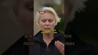 Собака реинкарнация умершего сына/Яна Троянова в интервью у Дудя/#shorts