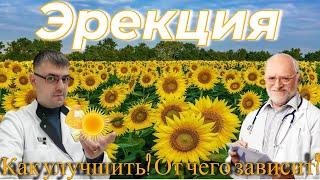 Эрекция - как улучшить, от чего зависит?