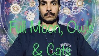 Full Moon, Owls and Cats