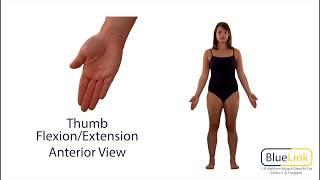 Thumb Flexion Extension
