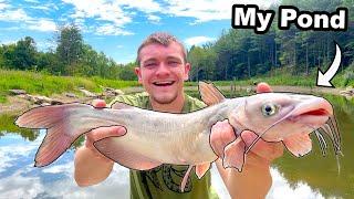 Catching Catfish to Stock My Pond!