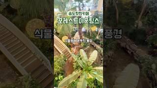 식물원에 온듯한 송도 대형카페 꽃과 나비가 가득 예쁘게 꾸며져 누구나 사진찍게 만드는 곳!! #송도카페 #포레스트아웃팅스 #송도가볼만한곳 #cafe #shorts