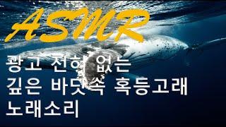 내가 들으려고 만든 깊은 바닷속 혹등고래 노래 소리 한시간