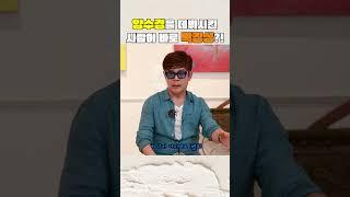 [레전드인사이트] 가수 양수경을 데뷔시킨 사람은?!