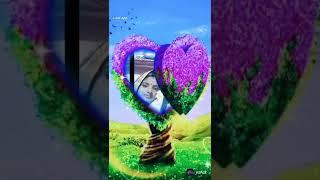 #dhiraj sangeeta Raj
