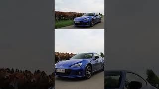 COWS' REACTION TO SUBARU BRZ