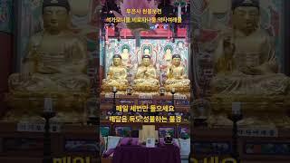 #부은사#통천도량#깨달음#득도#성불#영인스님#대방광불화엄경