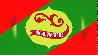 Sante Group