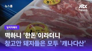 [밀착카메라] 떡하니 '한돈'이라더니…창고안 돼지들은 모두 '캐나다산' / JTBC 뉴스룸