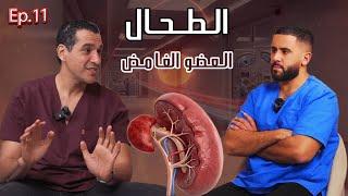 كل ما يجب أن تعرفه عن الطحال: دوره، أمراضه واستئصاله |️ Nabadat podcast 11