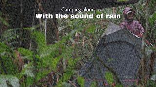 Solo camping - ASMR | sound of rain | Camping sendiri dihutan rimba | Natural sound