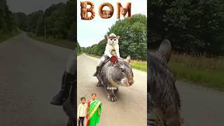 Cat rat comedian video #song #shorts #dj