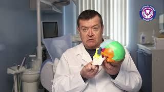 Опасно ходить без зубов. Врач-гнатолог Александр Хамчишкин